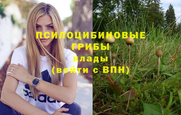 соль курить ск Алзамай
