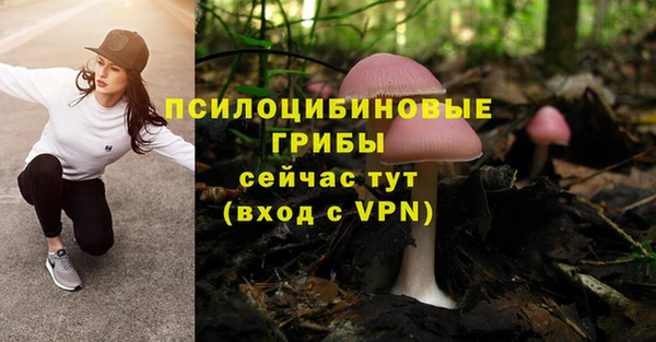 jwh Алексеевка