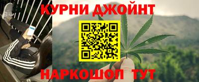 spice Кингисепп