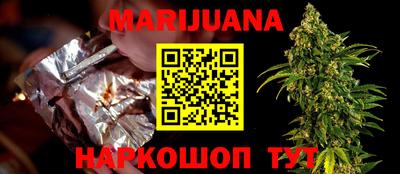 spice Кингисепп