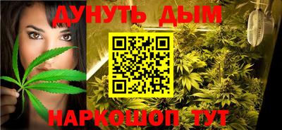 spice Кингисепп
