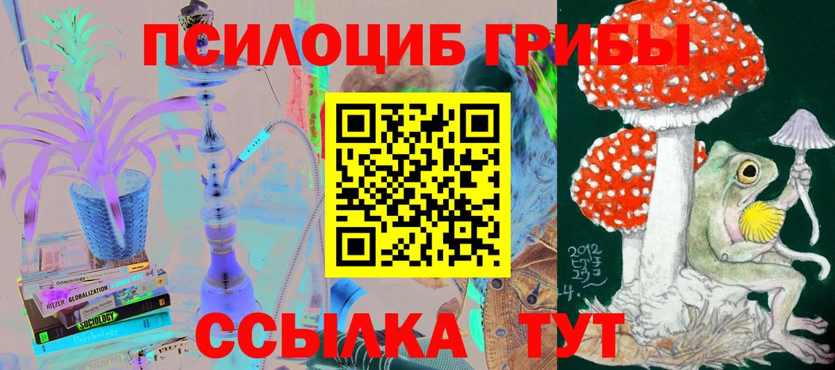 Крымск  Псилоцибиновые грибы Cubensis  Вход с VPN  Галлюциногенные грибы Magic Shrooms 